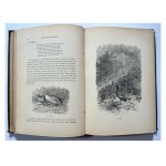 DIE VOGELWELT MIT FEDER UND BLEISTIFT BESCHRIEBEN, 1885