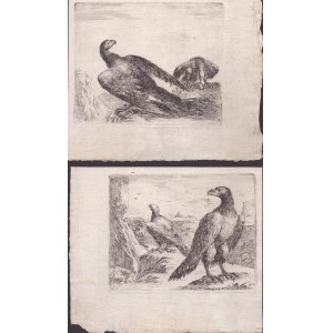 Stefano della Bella ( 1610-1664 ), Two engravings from the series Les aigles, 1651 ca.