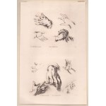 Stefano della Bella ( 1610-1664 ), Lot of 13 etchings