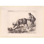 Stefano della Bella ( 1610-1664 ), Lot of 13 etchings