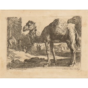 Herman van Swanevelt ( 1603-1655 ), Two camels