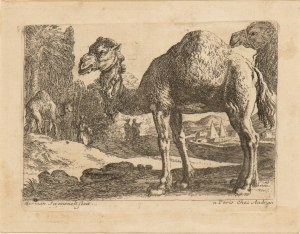 Herman van Swanevelt ( 1603-1655 ), Two camels