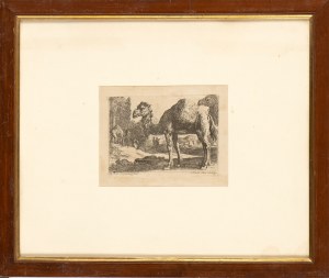 Herman van Swanevelt ( 1603-1655 ), Two camels