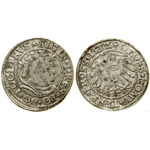 Polska, grosz, 1532, Toruń