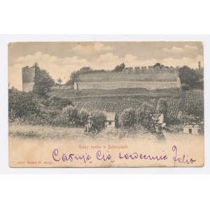 Dobczyce - Rovine del castello (106)