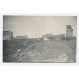 Krzemieniec - Ruines du château (185)