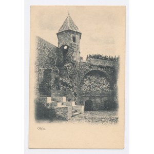 Ołyka - Bastione del 1900 circa (1208)