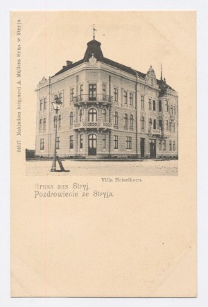 Stryj - Villa Heiselkorn um 1900 (1217)