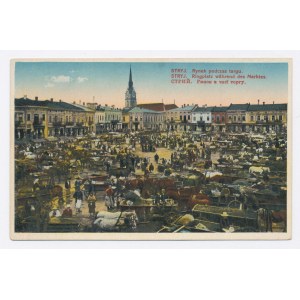 Stryj - Piazza del mercato durante una fiera (1220)