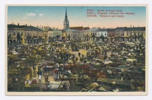 Stryj - Market Square during the market (1220)