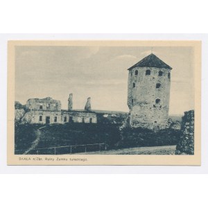 Skała - Ruines d'un château turc (1253)