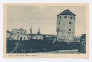 Skała - Ruiny zamku tureckiego (1253)