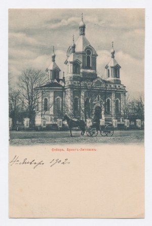 Brest-Litovsk Cathedral (604)