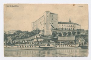 Sandomierz Castle (191)