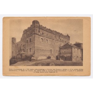 Golub Dobrzyń - Ruiny zamku (245)
