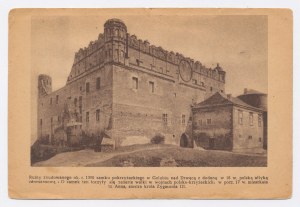 Golub Dobrzyn - Castle ruins (245)