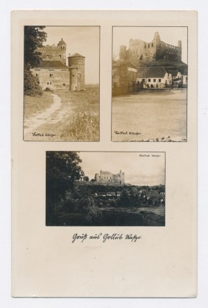 Golub-Dobrzyn Castle (256)
