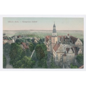 Schloss Olesnica (299)