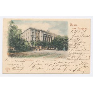 Legnica - Gimnazjum 1899 (314)