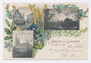 Legnica - Wroclaw Church and Square 1899 (323)