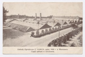 Warsaw - Horticultural plants (937)