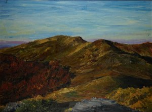 Kmiecik Barbara, „Bieszczady”