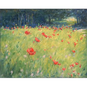 Nickel Alicia, Paysage avec coquelicots