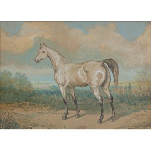 Juliusz Kossak (1824 Nowy Wiśnicz - 1899 Krakov), Štúdia koňa, 1886