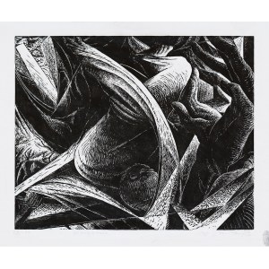 Miroslaw Dlugosz, Entrapment