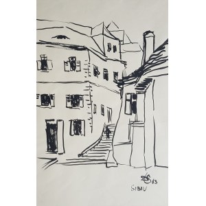 Sólo Donald, Sibiu II,1963