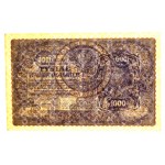II RP, 1,000 mkp 1919 3rd Series AM (28)
