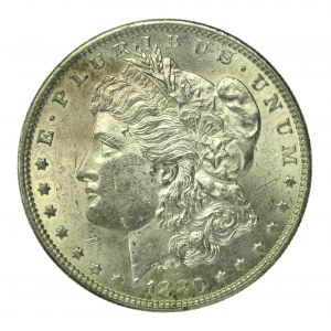 USA, $1 1880, Filadelfia - Morgan (186)