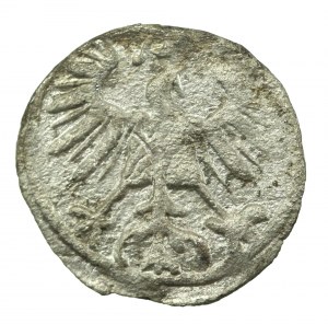 Zikmund II Augustus, denár 1555, Vilnius (302)