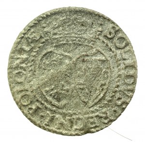 Sigismond III Vasa, 1613 Shelagh, Malbork - boucliers. Rare (314)