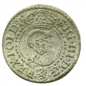 Sigismund III Vasa, Shellegno 1592, Malbork (316)