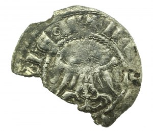 Kazimír III Veľký, polpenny (quarto) bez dátumu, Krakov (321)