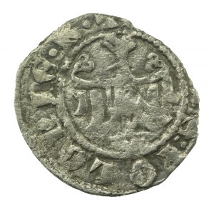 Kazimír III Veľký, polgroš (quarto) bez dátumu, Krakov (322)