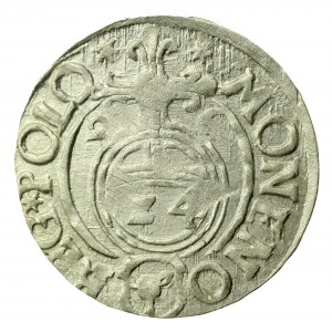 Sigismond III Vasa, Półtorak 1626, Bydgoszcz (404)