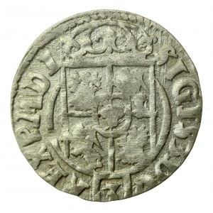 Sigismund III Vasa, Half-track 1623, Bydgoszcz (407)