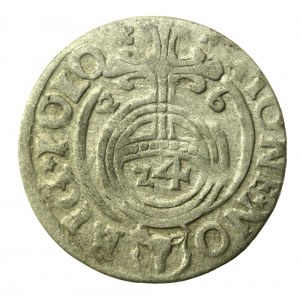 Sigismund III Vasa, Half-track 1626, Bydgoszcz (409)