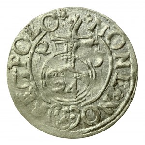 Sigismond III Vasa, Półtorak 1625, Bydgoszcz. Rosettes. Curieux (411)