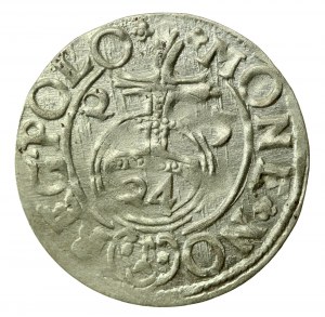 Sigismund III. Vasa, Półtorak 1625, Bydgoszcz. Rosetten. Kurios (411)