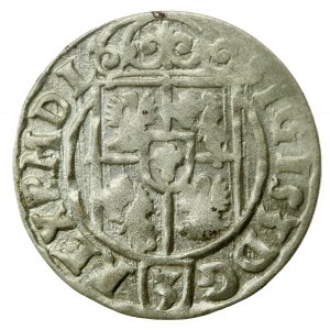 Sigismund III Vasa, Half-track 1625, Bydgoszcz. Rosettes. Curious (411)
