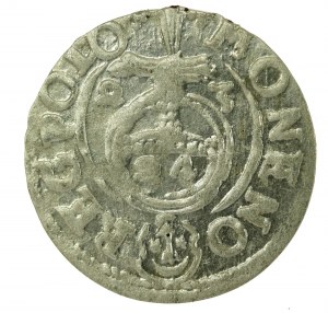 Sigismond III Vasa, Półtorak 1623, Bydgoszcz (413)