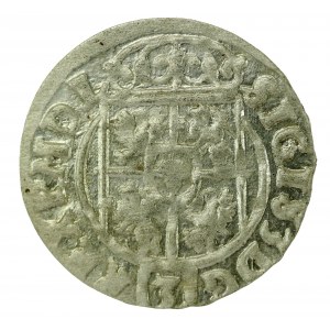 Sigismund III Vasa, Half-track 1623, Bydgoszcz (413)
