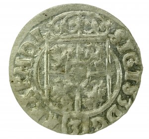 Sigismund III Vasa, Half-track 1623, Bydgoszcz (413)