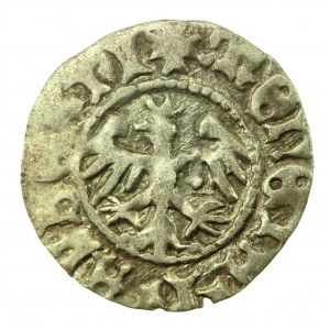 Jan I Olbracht, Półgrosz Kraków - Poraj (418)