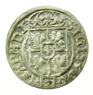 Zygmunt III Waza, Półtorak 1622, Bydgoszcz (426)