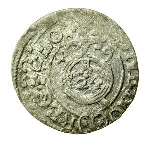 Sigismund III Vasa, Half-track 1619, Bydgoszcz (506)