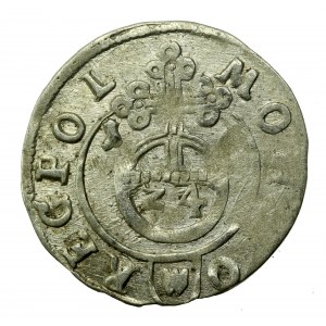 Sigismund III Vasa, Half-track 1616, Bydgoszcz (508)